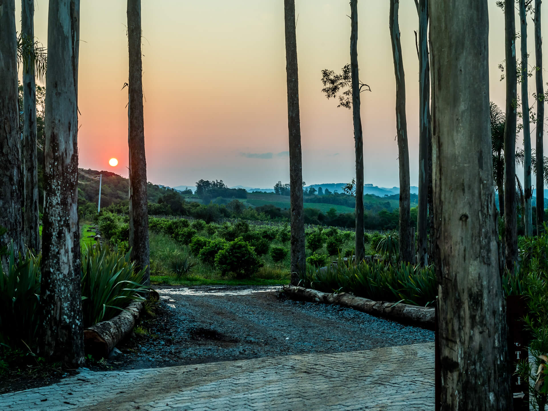 Fotos - Cabana Pérola (11)