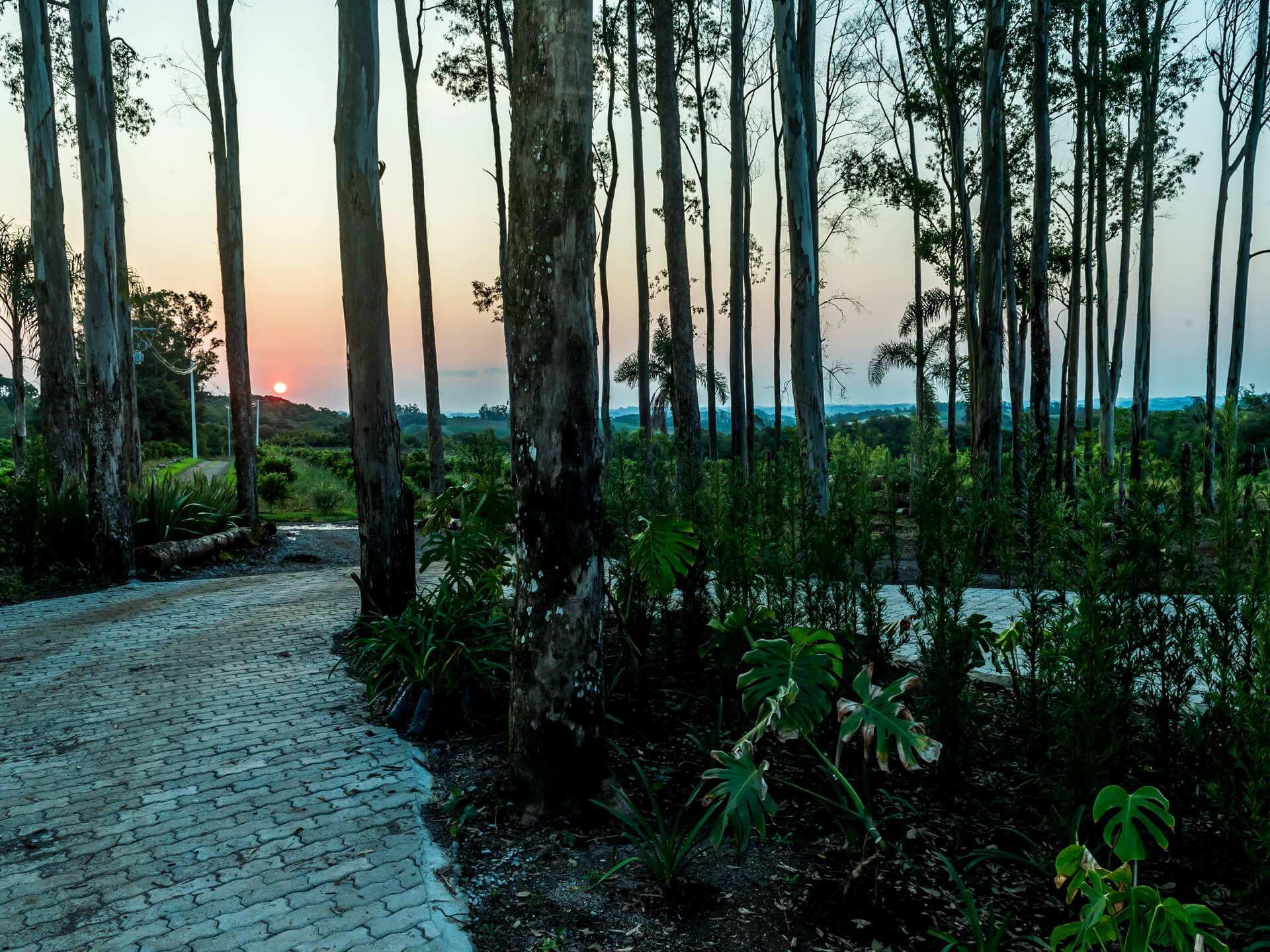 Fotos - Cabana Pérola (3)